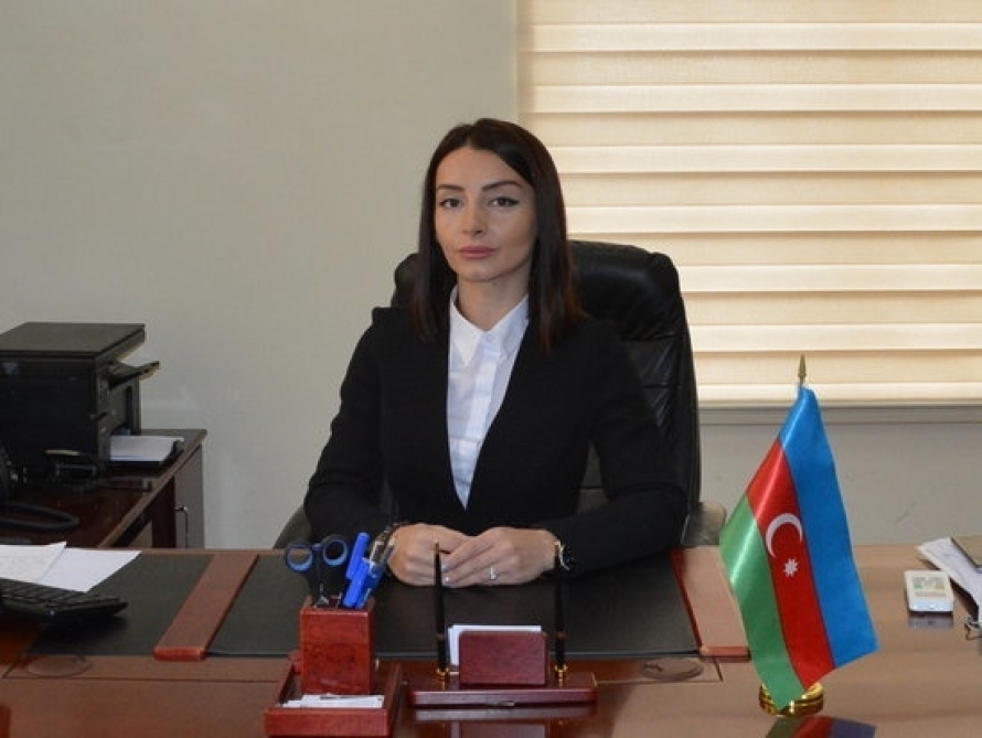 Leyla Abdullayeva: Ermənistan Azərbaycanı əsassız şəkildə ittiham etməkdənsə, özünün işğalçılıq siyasətini etiraf etməlidir