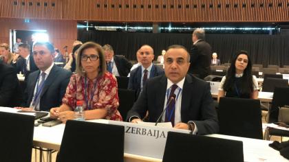 На заседании Общего комитета ПА ОБСЕ по политическим вопросам и безопасности идут жаркие дебаты между азербайджанской и армянской делегациями