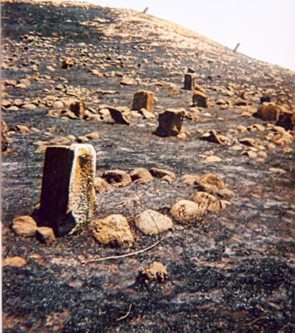 Khodjavand region. Historical reserve area called the hill of daffodils. Burnt by Armenians