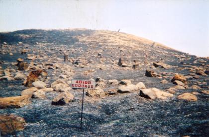 Hocavend bölgesi. Nergiz tepe denilen tarihi SİT arazi. Ermeniler tarafından yakılmıştır